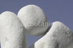 Strukturen-Felsformation-Zange-3