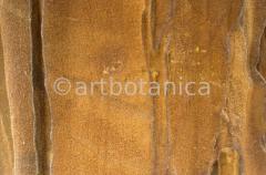 Naturstrukturen-Limonit-2