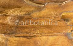 Naturstrukturen-Limonit-3