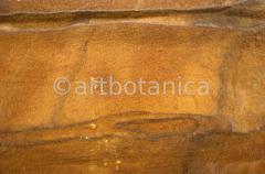 Naturstrukturen-Limonit-1