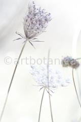 Sommerimpressionen Hochformate