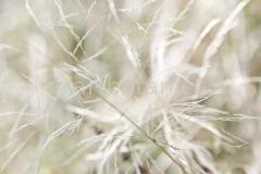 Sommerimpressionen-Querformate