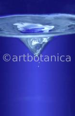 Elemente-Wasser-Potenzierstrudel-9