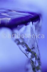 Elemente-Wasser-fließend-6