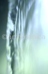 Elemente-Wasser-fließend-2