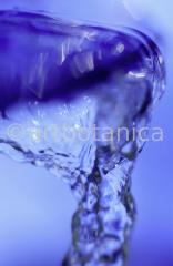 Elemente-Wasser-fließend-5