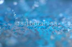 Elemente-Wasser-fließend-21