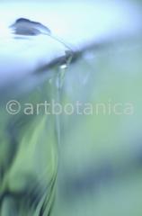 Elemente-Wasser-fließend-3