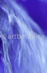 Elemente-Wasser-fließend-9