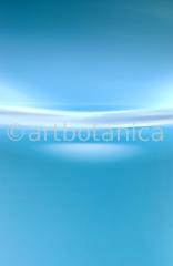 Elemente-Wasser-ruhend-5