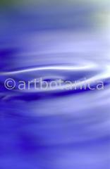 Elemente-Wasser-ruhend-3