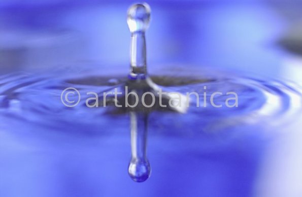 Elemente-Wasser-Wassertropfen-29