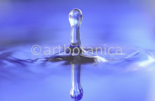 Elemente-Wasser-Wassertropfen-34