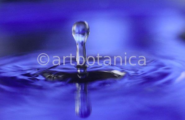 Elemente-Wasser-Wassertropfen-36