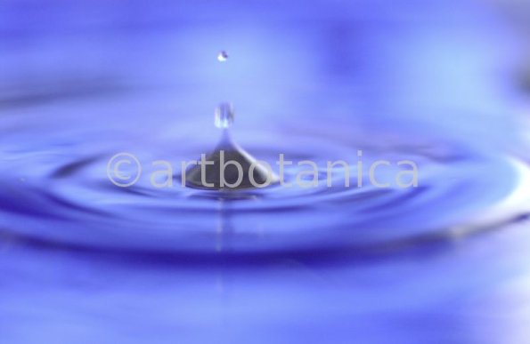 Elemente-Wasser-Wassertropfen-30