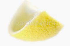 Kochen-Frucht-Zitrone-2