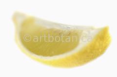 Kochen-Frucht-Zitrone-5