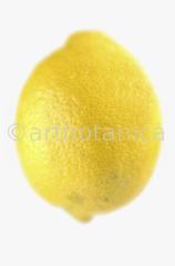 Kochen-Frucht-Zitrone-6