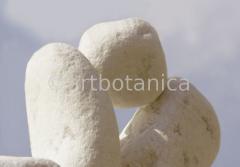 Rock formation tongs
